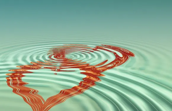 Rokubet Cazino Cazinou Suport